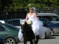 Свадебные лошади