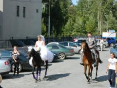 Свадебные лошади