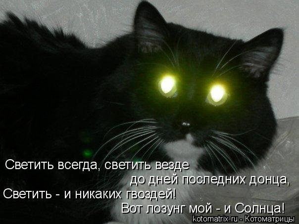 Светить и никаких гвоздей вот лозунг. Светить всегда светить везде. Светить всегда светить везде вот лозунг мой и солнца. Светить всегда светить везде до дней последних Донца. Свети всегда Свети везде.