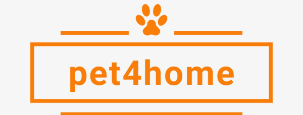 0 logo