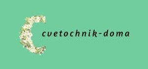 Растения, которые добавили характер вашему дому