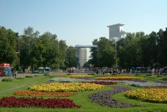 Сокольники