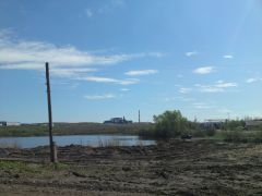 DSC00975.JPG