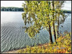 берег второго пруда, березовая(туристская) поляна