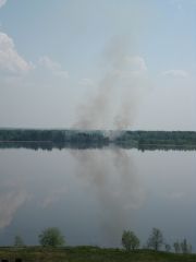 IMG_3882.JPG