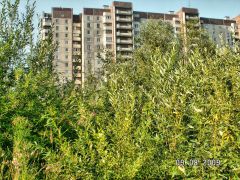 новостройки