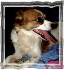 DSC0585kk1.JPG