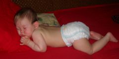 SDC10052.JPG