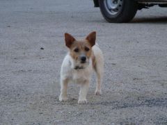 DSC02830.JPG