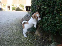 DSC02851.JPG