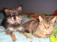 DSC04462.JPG
