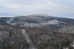 DSC_1107 [Ширина 2400 Высота 1800].jpg