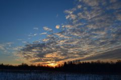 DSC_1598.jpg