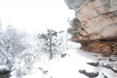 Губаха Каменный город