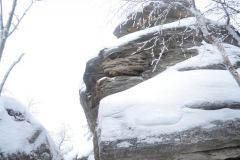 DSC_0156.jpg