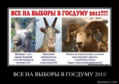 204390-vse_na_vybory_v_gosdumu_2011.jpg