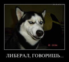 6aa7fe90437a.jpg