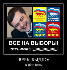 1349546b4a38.jpg