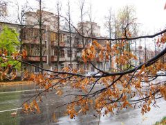 На  Советском  осень