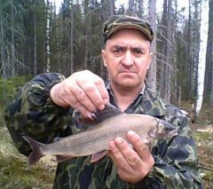 хариус.jpg