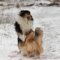 Ласка и Женя