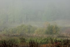 0IMG 9616