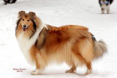 Женевьев Мэрвей дю Нор "Женя" - 5,5 лет