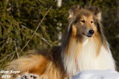 Женевьев Мэрвей дю Нор - 8,5 лет