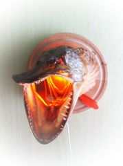 IMG 0425