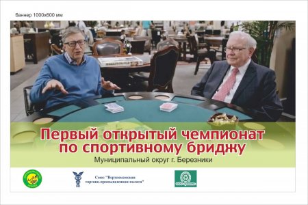 баннер бридж.jpg