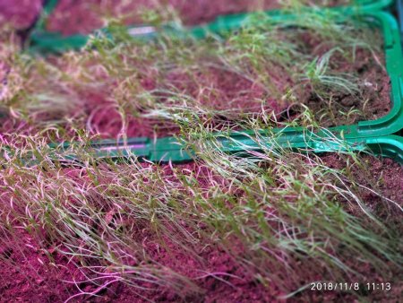 2018-11-08 11-13-08.JPG