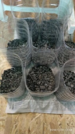 2018-12-16 12-54-09 (1).JPG