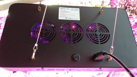 IMG_20181214_151826 (3).jpg