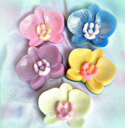 орхидеи 100р .jpg