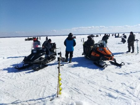 поопопопопопо (1).jpg