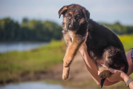 wlqGCU7swy4 — копия.jpg