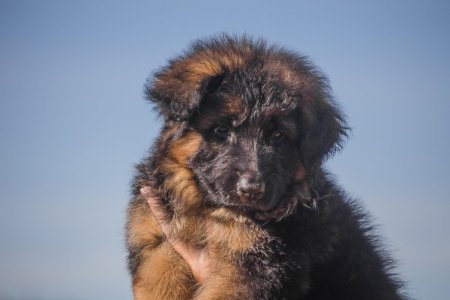 aHEUd4sJTFQ — копия.jpg