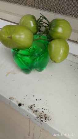 2019-08-16 12-07-21 (1).JPG