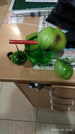 2019-08-24 19-32-36.JPG