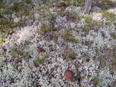 IMG_20190818_094917 (1).jpg