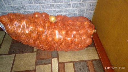 2019-09-29 13-38-32 (1).JPG