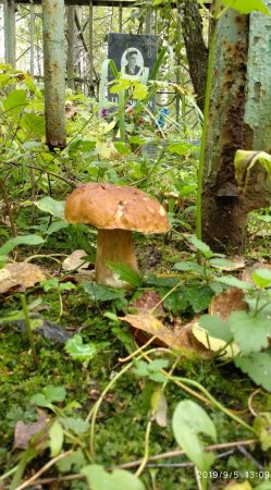 2019-09-05 13-09-59_1567695051005.JPG