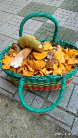 2019-09-05 18-36-54.JPG