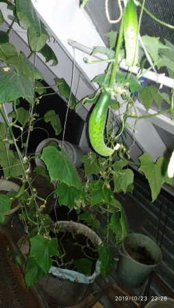 IMG_20191023_222804 (1).jpg