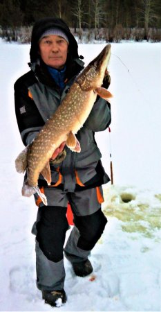 4.5 кг., Редикор.jpg