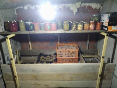 урожай 2019.jpg