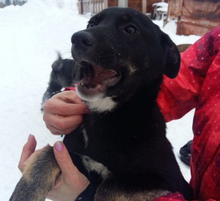 Матильда 1.jpg