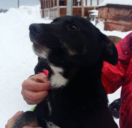 Матильда 2.jpg