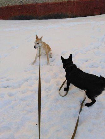 маня и илса.jpg