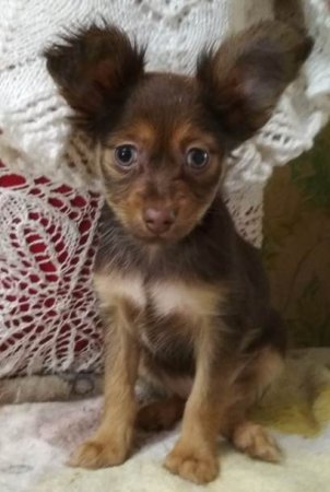 Мальчишка , Глазов.jpg